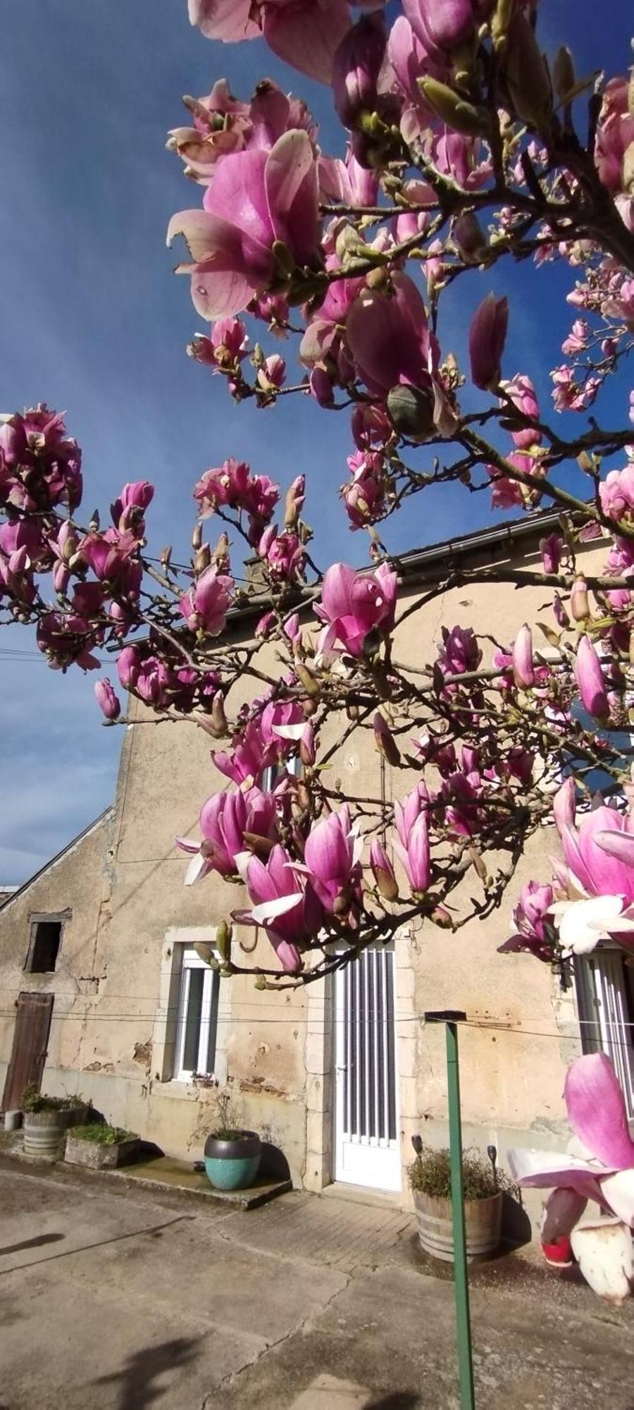 Gite L'Esprit Nature Naucelle ภายนอก รูปภาพ