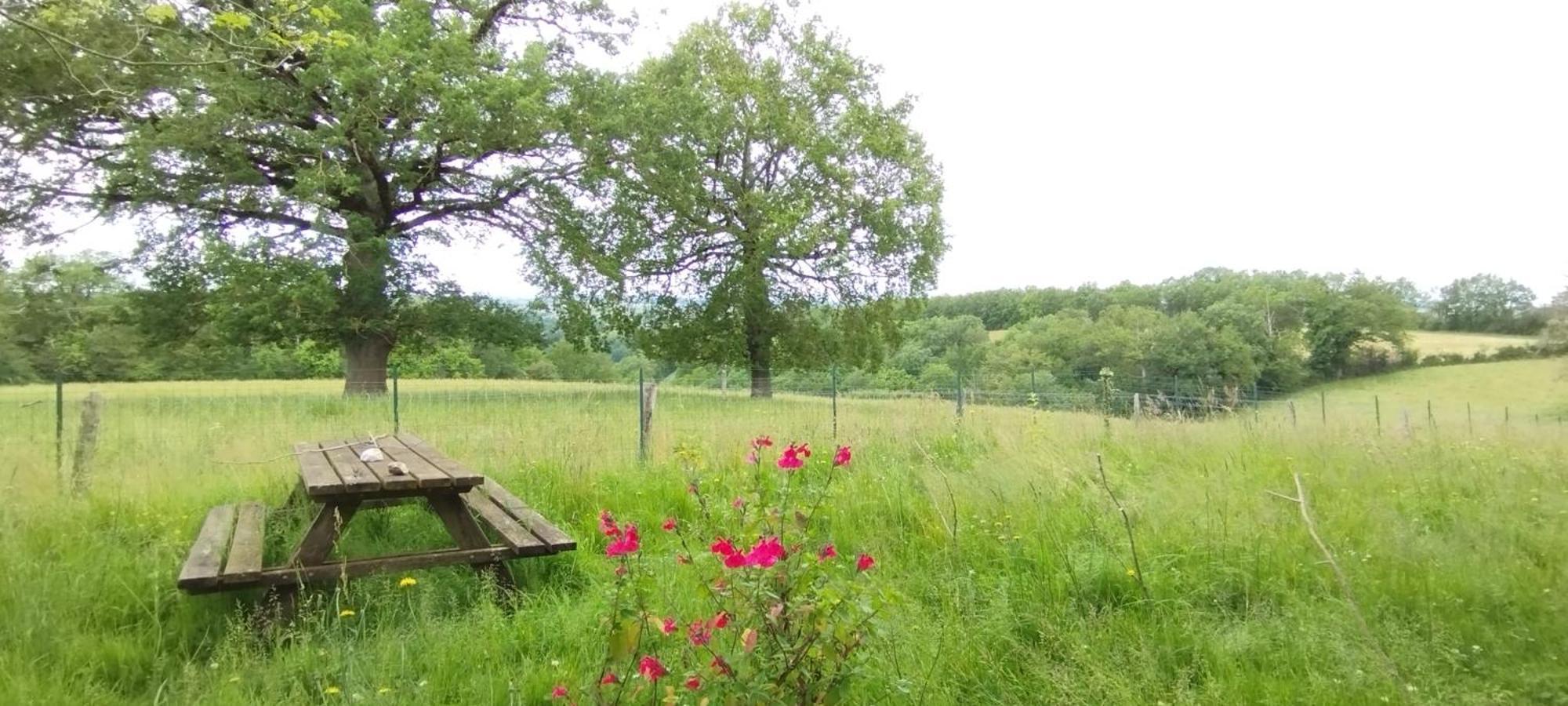 Gite L'Esprit Nature Naucelle ภายนอก รูปภาพ